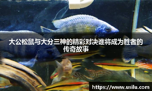 大公松鼠与大分三神的精彩对决谁将成为胜者的传奇故事