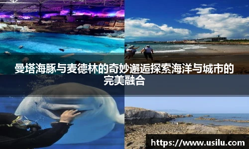 悟空体育曼塔海豚与麦德林的奇妙邂逅探索海洋与城市的完美融合